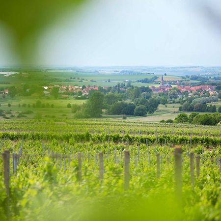 Weingut Schilling Otel Seinsheim Dış mekan fotoğraf