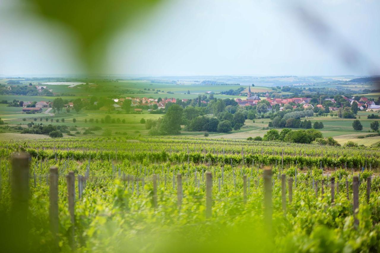 Weingut Schilling Otel Seinsheim Dış mekan fotoğraf